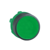 Cabezal de pulsador verde, Ø 22mm SCHNEIDER